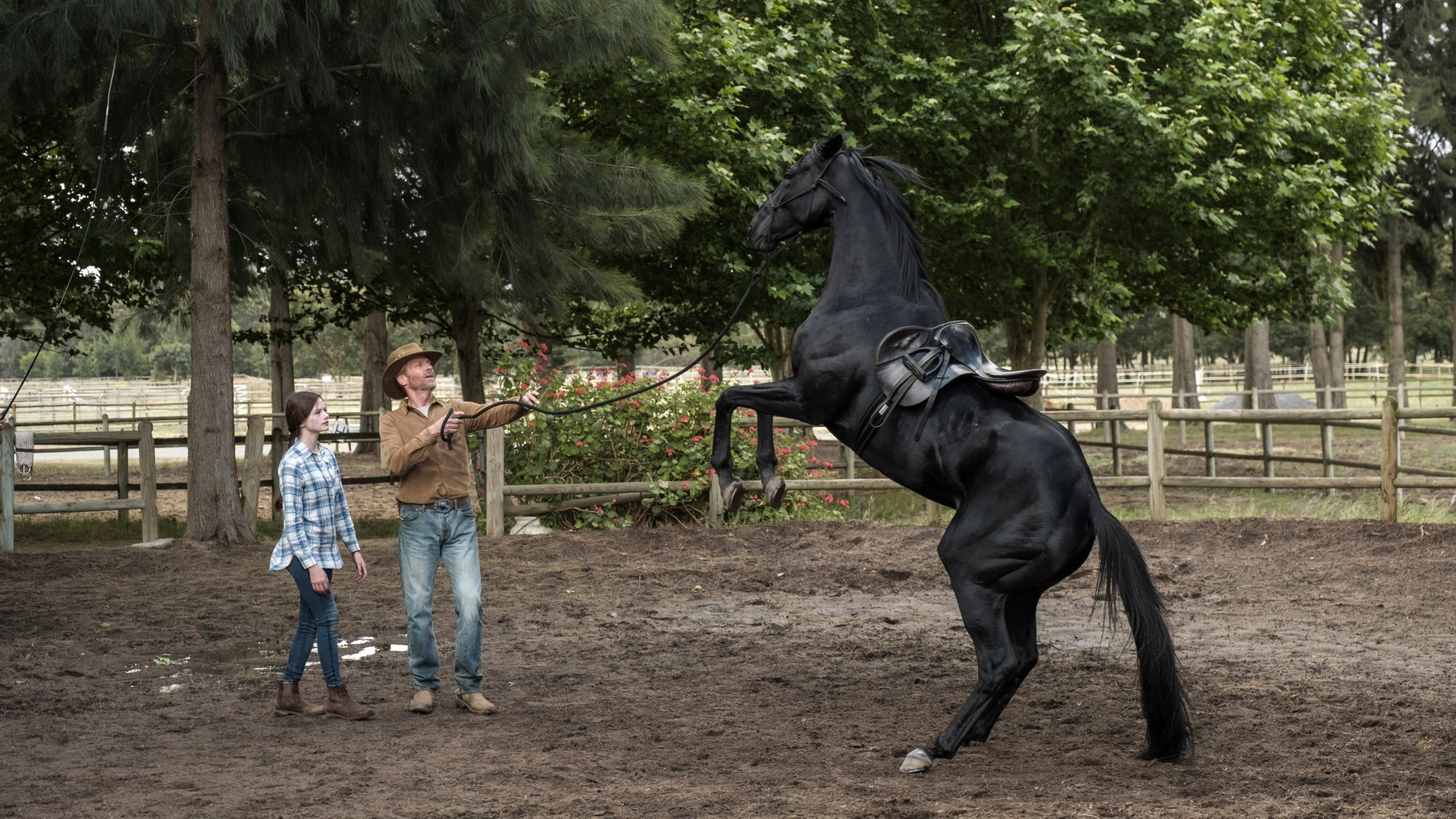 Black Beauty รีวิวหนัง